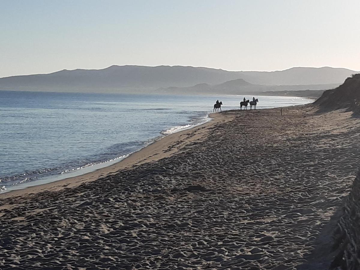 Vila I Ginepri Sorso Exteriér fotografie
