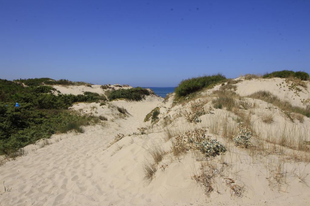 Vila I Ginepri Sorso Exteriér fotografie